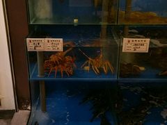 水产区-大唐名家·息壤店