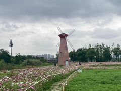 -三垟湿地