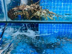 -小海豚•老字号海鲜餐厅(天涯店)