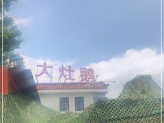 -大队长大灶鹅