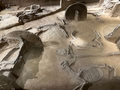 -洛阳周王城天子驾六博物馆