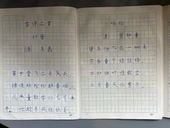 -赵汝飞练字硬笔书法(静安大融城校区)