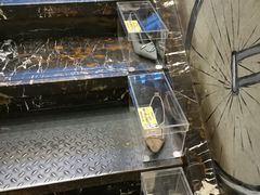 -喝丢一只鞋辣炒海鲜小烧烤(三八广场店)