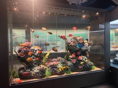 -天津自然博物馆