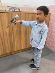 -Moni星球萌宠·小马宝莉·灵蛇·高端高阶全萌宠互动体验俱乐部(红豆国际广场店)