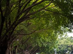 -黄埔古港
