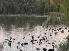 -天津市动物园