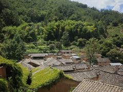 -杨家堂村