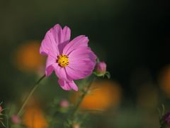 外景-北京拉斐特城堡酒店