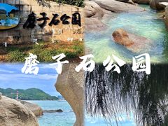 -巽寮湾