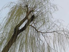 -迎泽公园