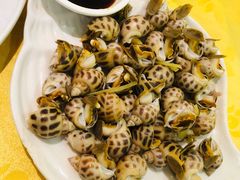 白灼旺螺-莲花公园煎蟹(总店)
