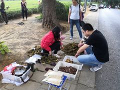 -敬亭山风景名胜区