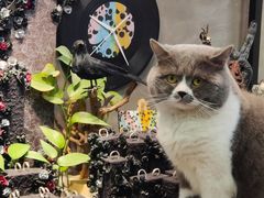 -不作·手工银饰DIY(西红门店)