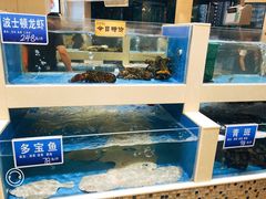 水产区-双井轩(双井店)