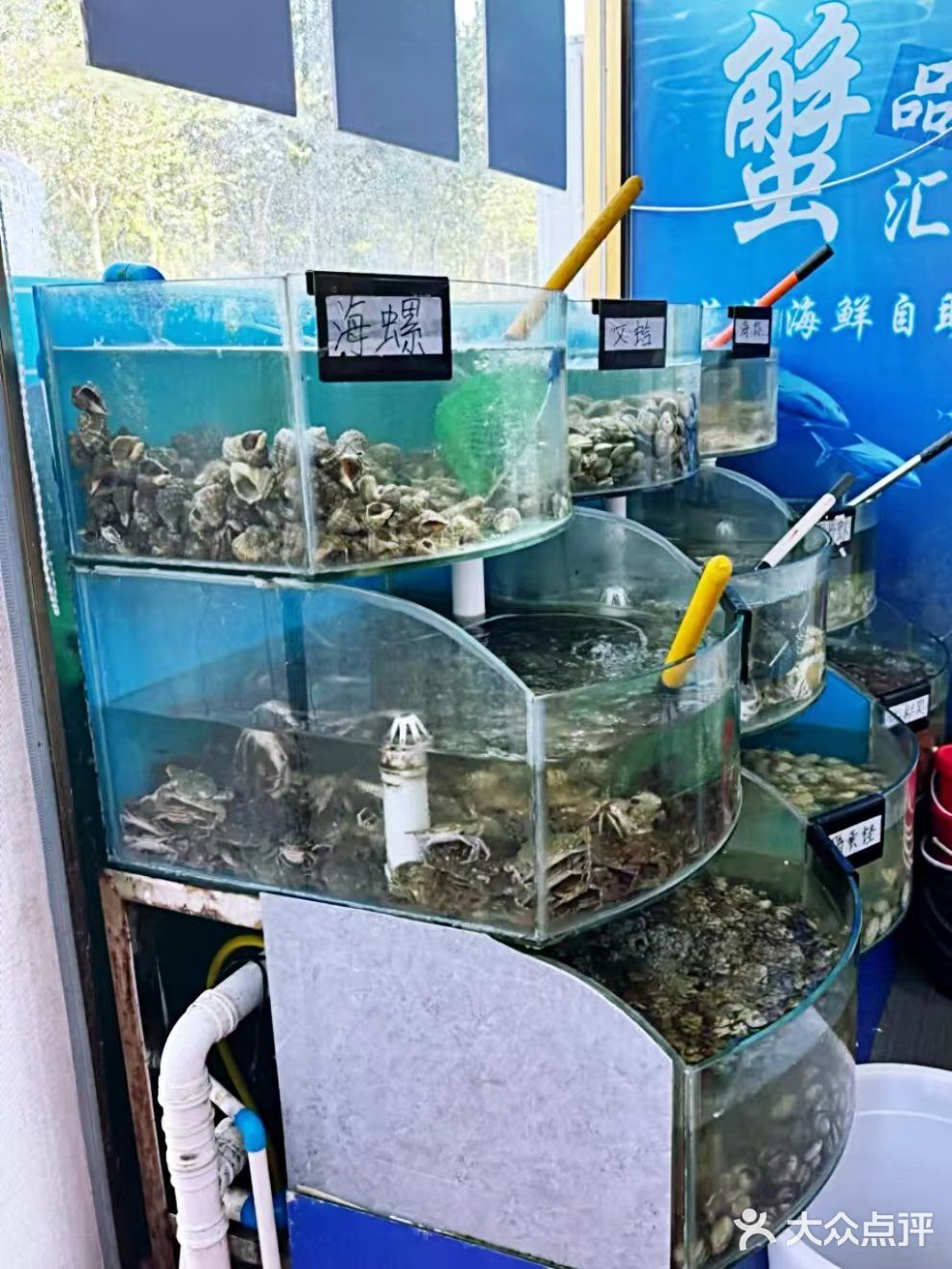 今天我是海鲜控！不限时不限量！团购实惠