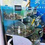 今天我是海鲜控！不限时不限量！团购实惠