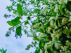 -敬亭山风景名胜区