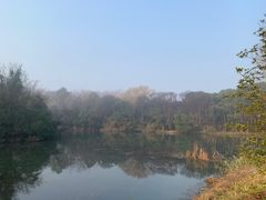 -昆山城市生态森林公园