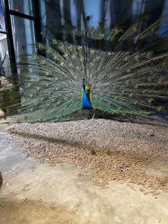 -酷嗒动物文化乐园(cutezoo西溪乐天城店)