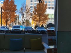 -美迦爱-牙专科·兔科·骨科诊疗中心(北苑店)