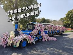 -上海鲜花港