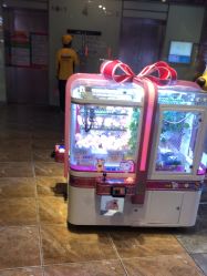 -卡通尼·Safari非洲探索乐园·生日会(金桥国际商业广场店)