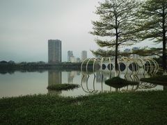 -飞来湖湿地公园