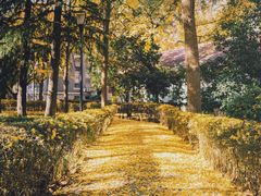 -山东大学(趵突泉校区)