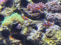 -珠海长隆海洋王国