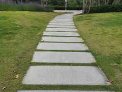 -深圳湾公园(南山区)