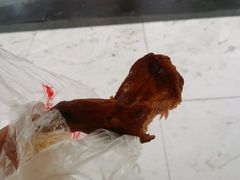 -邓氏兔头