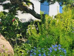 -罗红摄影艺术馆