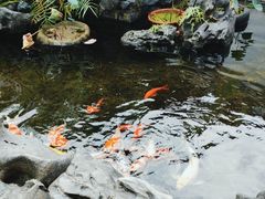 -道南書院·私房菜·早午茶·茶馆