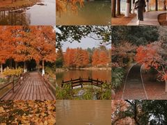 -浙江农林大学(东湖校区)