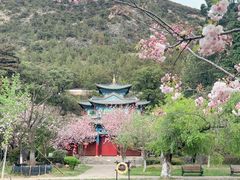 -黑龙潭公园
