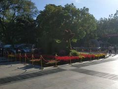 -紫竹院公园-东门停车场