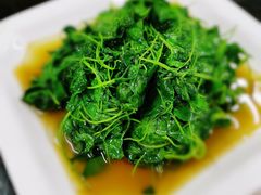 -协和菜馆(凤凰街店)