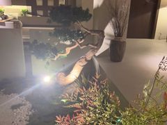 -沐SPA·坐忘山城·日式足道