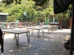 -鲤鱼塘农家山庄