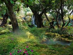 -Chom Cafe and Restaurant