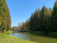 -黄海国家森林公园