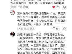 -龙湖重庆时代天街