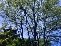 -秦岭终南山世界地质公园翠华山景区
