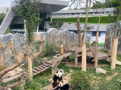 -青藏高原野生动物园