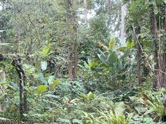-中国科学院西双版纳热带植物园