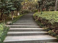 -杭州半山国家森林公园