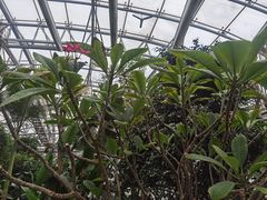 -北京植物园-展览温室