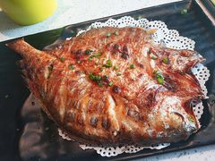 -九府羊·鲜羊火锅·烤串(新华路店)