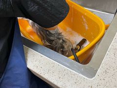 -喜洋洋宠物医院(震川路总店)